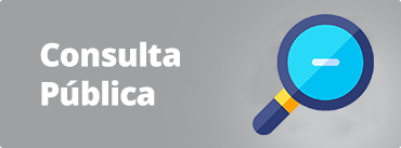 Consulta Pública